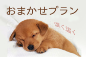 おまかせプラン